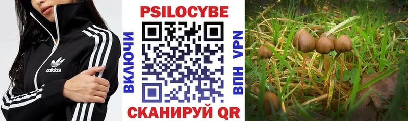 Купить закладки  Узловая  Галлюциногенные грибы Cubensis 